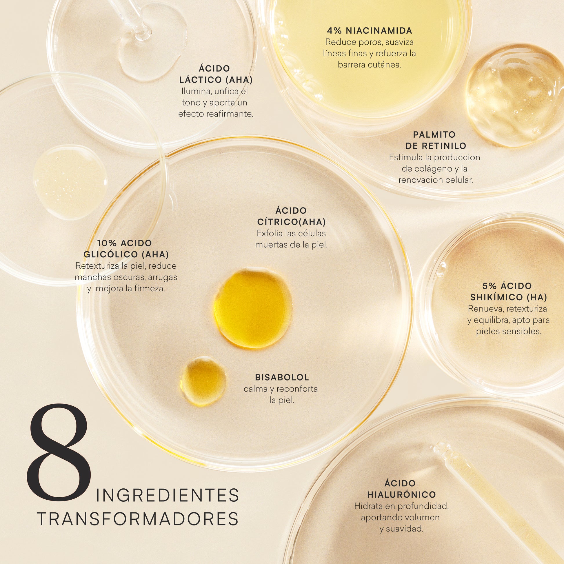 TRANSFORM AHA RENEWAL